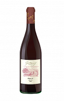 Gotberg Merlot, výběr z hroznů