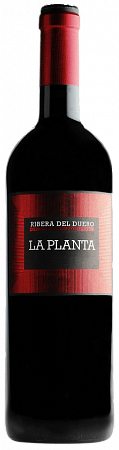Arzuaga La Planta
