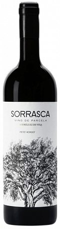 Rodríguez de Vera Sorrasca