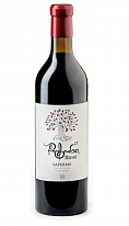 Kvevri červené víno - Saperavi 2019 - Rtoni - gruzínské víno, 0,75l