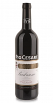 Pio Cesare Barbaresco