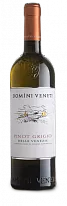 Domini Veneti Pinot Grigio